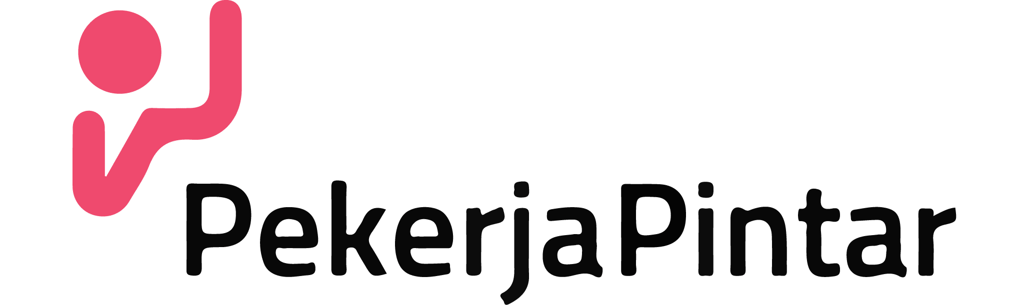 Pintar Network Assets-02